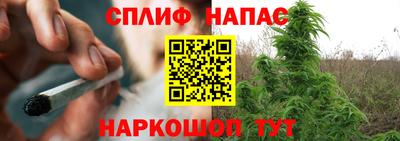 СК Севастополь