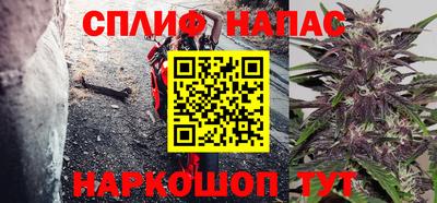 СК Севастополь
