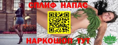 СК Севастополь
